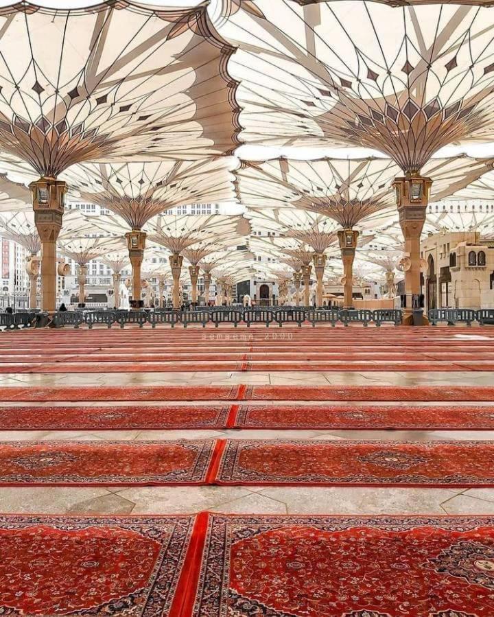 Apartemen Lina - Almadinah Medina